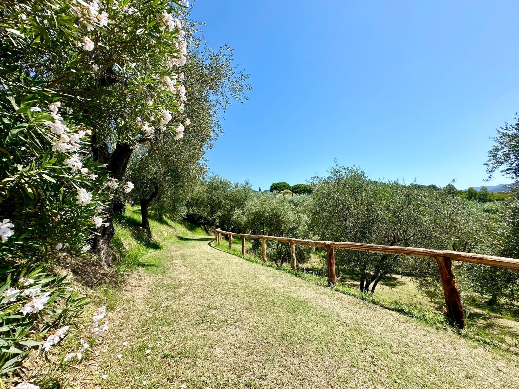 Agriturismo Uliveto Bartolomeo Sestri Levante Esterno foto