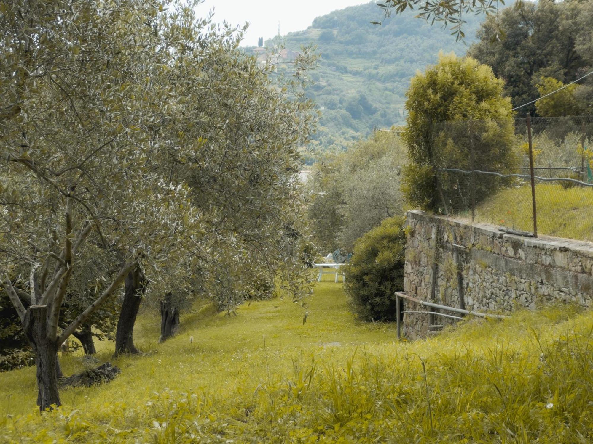 Agriturismo Uliveto Bartolomeo Sestri Levante Esterno foto