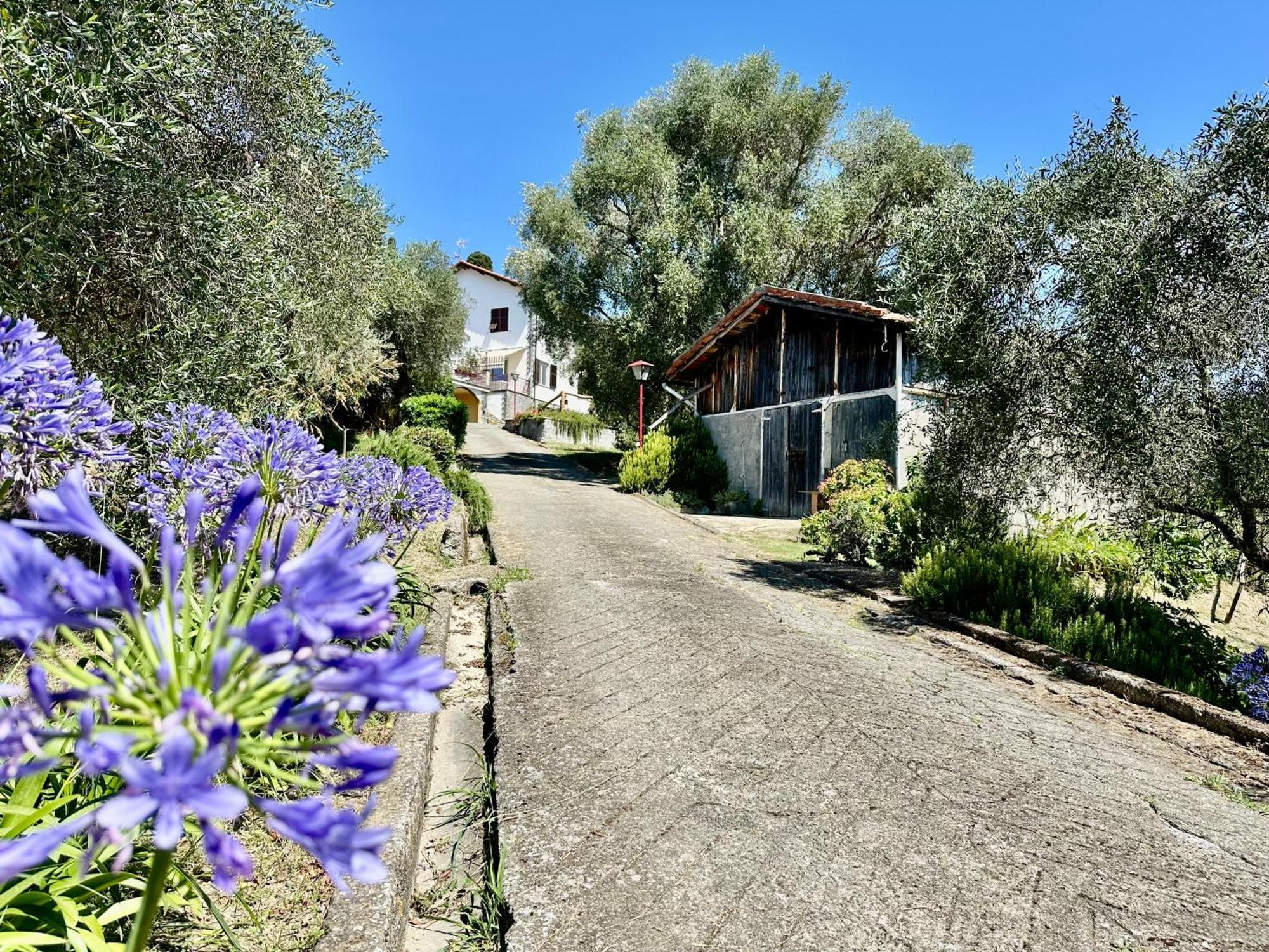 Agriturismo Uliveto Bartolomeo Sestri Levante Esterno foto