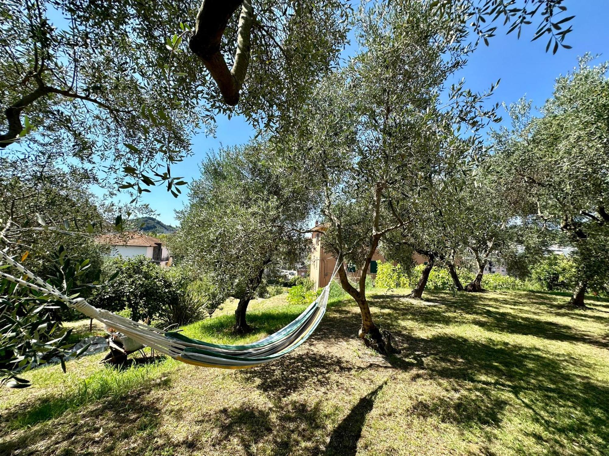 Agriturismo Uliveto Bartolomeo Sestri Levante Esterno foto
