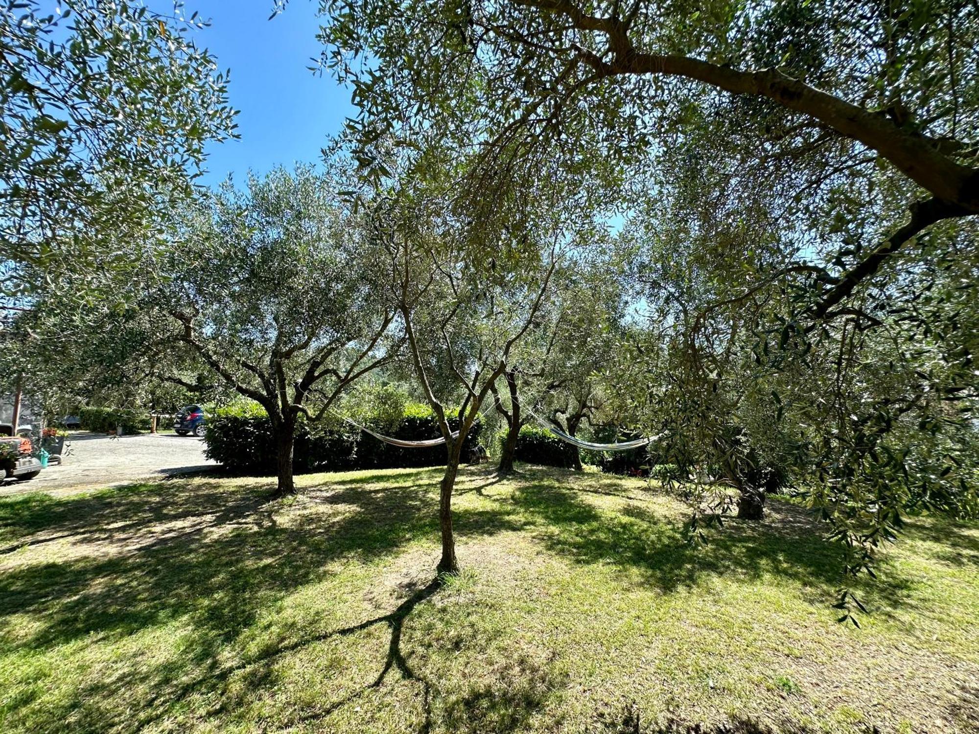 Agriturismo Uliveto Bartolomeo Sestri Levante Esterno foto